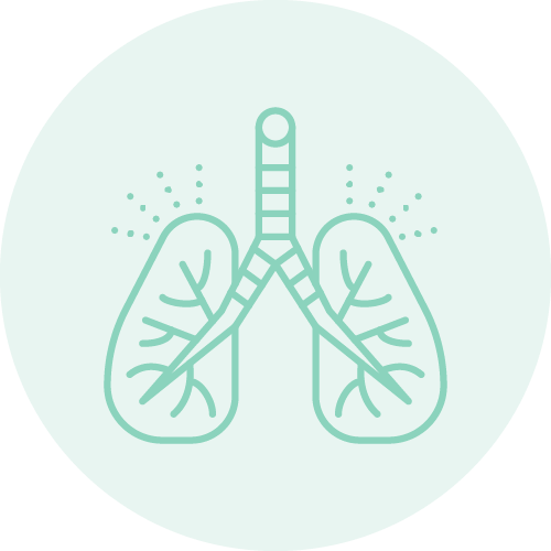 L2_3.1_ChildHealth_Icons-01