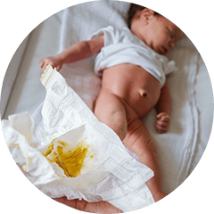 AdobeStock_427556925